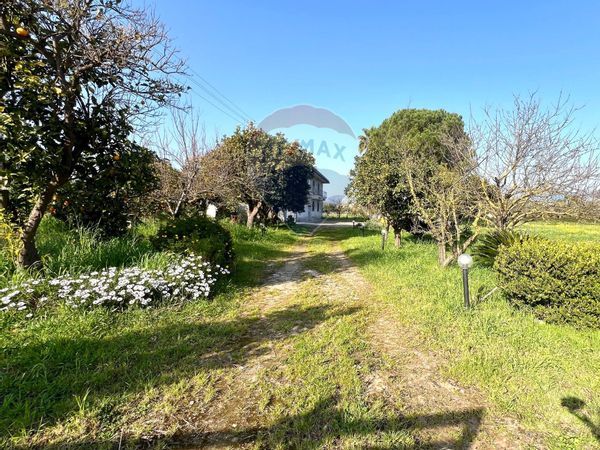 Casa Indipendente Sparanise, CE Vendita - Foto 2