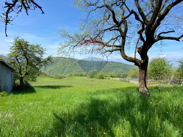 Rustico Ronce, Belluno, BL Vendita - Foto 2