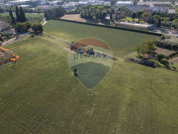 Nuove costruzioni Jesi, AN Vendita - Foto 3