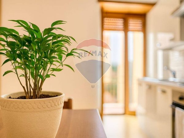 Appartamento Colleferro, RM Vendita - Foto 2