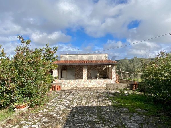 Villa o villino Piana degli Albanesi, PA Vendita - Foto 3