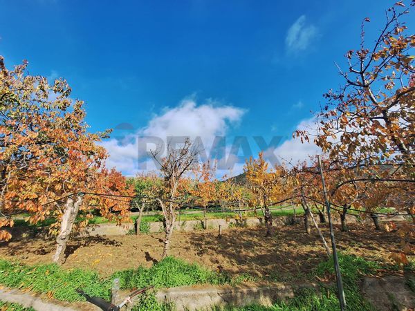 Porzione di villa Piedimonte Etneo, CT Vendita - Foto 3