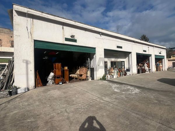 Magazzino Torrevecchia, Roma, RM Affitto - Foto 4