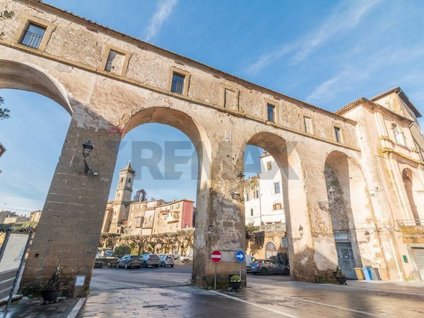 Rustico Farnese, VT Vendita