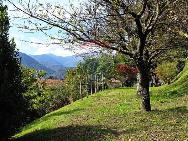 Casa Indipendente Agrano, Omegna, VB Vendita - Foto 2