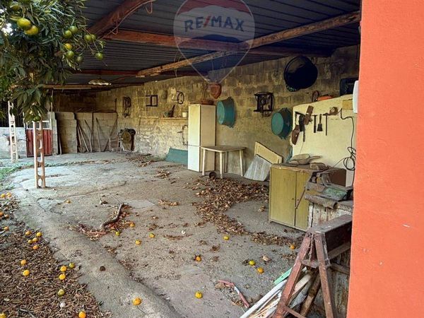 Villa singola Nocelleto, Carinola, CE Vendita - Foto 3