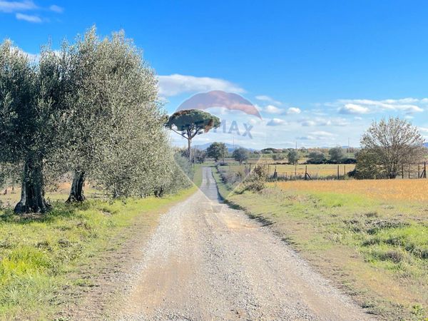 Cascina/Casale Pozzuolo, Castiglione del Lago, PG Vendita - Foto 3