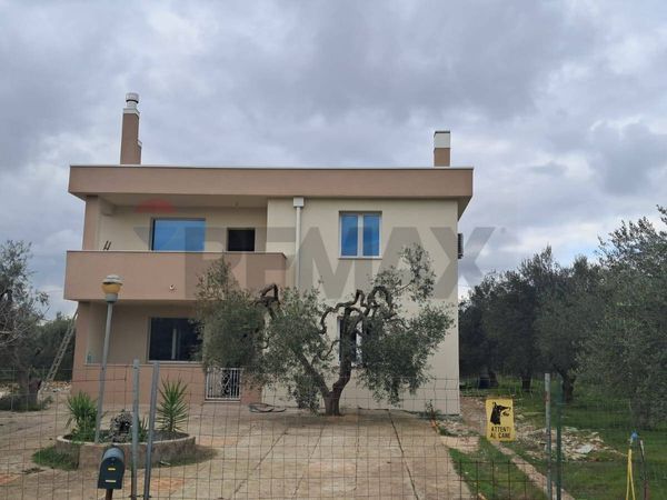 Villa singola La Martella, Matera, MT Vendita