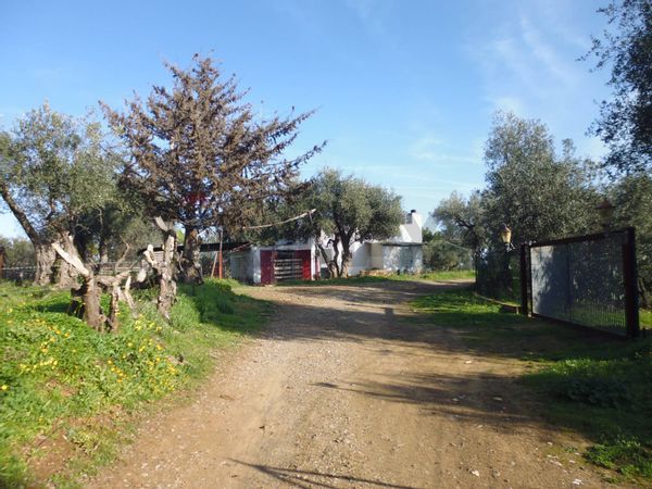 Terreno Pisticci, MT Vendita - Foto 2
