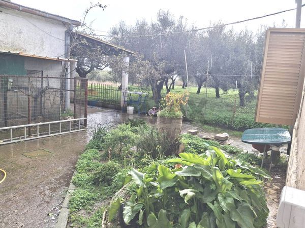 Casa Indipendente Maiano, Sessa Aurunca, CE Vendita - Foto 2