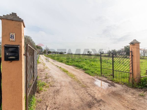 Porzione di casa Montalto di Castro, VT Vendita - Foto 2