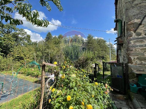 Casa Indipendente Pieve di Monti di Villa, Bagni di Lucca, LU Vendita - Foto 4