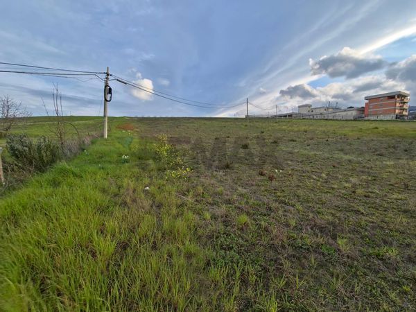 Terreno San Marco Argentano, CS Vendita