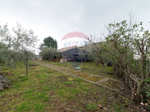 Cascina/Casale Belpasso, CT Vendita - Foto 4