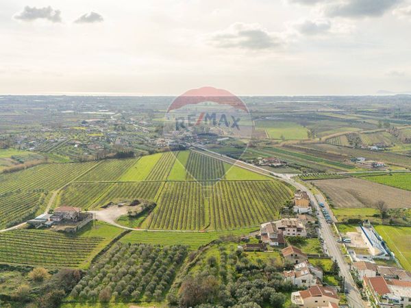 Cascina/Casale San Castrese, Sessa Aurunca, CE Vendita - Foto 3