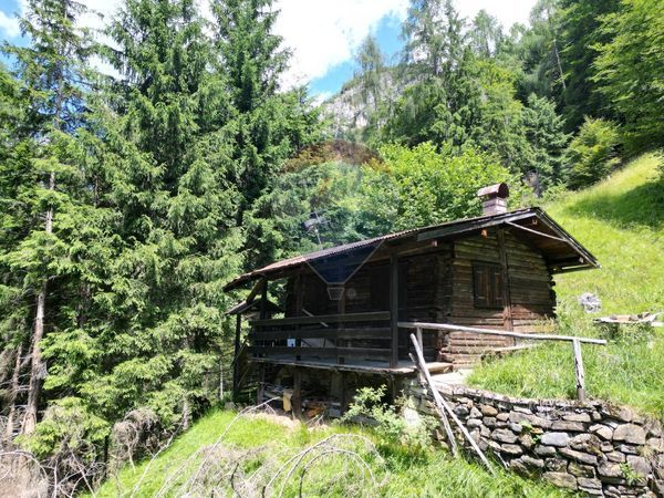 Rustico Rizzios, Calalzo di Cadore, BL Vendita