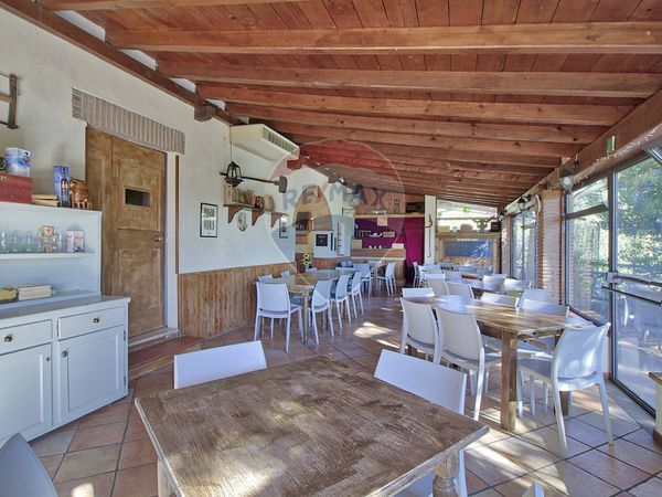 Agriturismo Sette Ponti, Castelfranco Piandiscò, AR Vendita - Foto 2