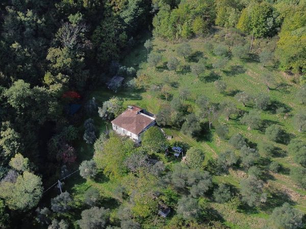 Rustico Serra San Quirico, AN Vendita - Foto 3