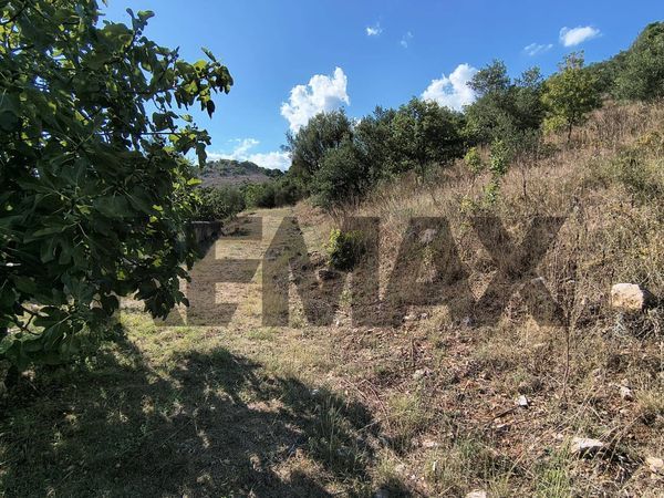 Terreno Padula, SA Vendita - Foto 4