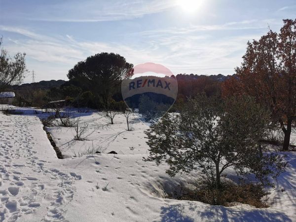 Cascina/Casale Nicolosi, CT Vendita - Foto 3