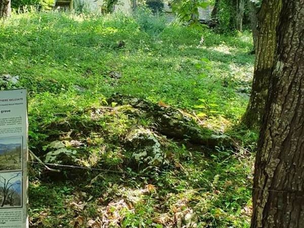 Rustico Brenzone sul Garda, VR Vendita - Foto 3