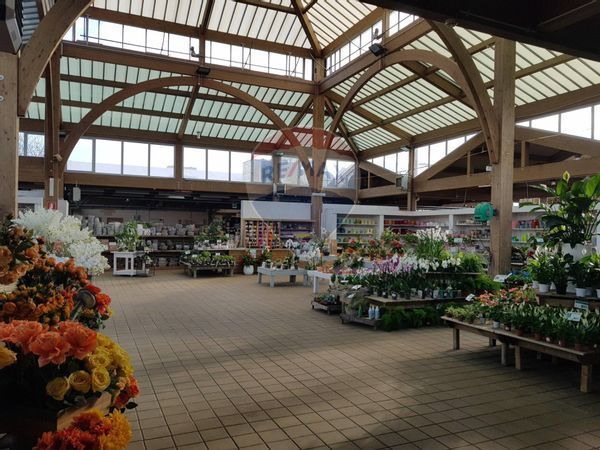 Capannone Industriale Vigliano Biellese, BI Vendita - Foto 3