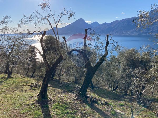 Rustico Brenzone sul Garda, VR Vendita