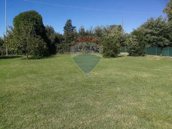 Terreno Trevignano Romano, RM Vendita - Foto 2