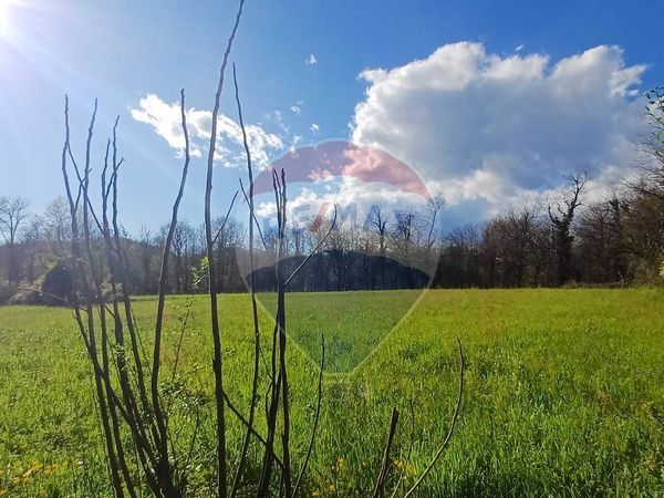 Terreno La Valletta Brianza, LC Vendita - Foto 2