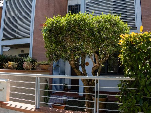 Appartamento Badia a Settimo, Scandicci, FI Vendita - Foto 3