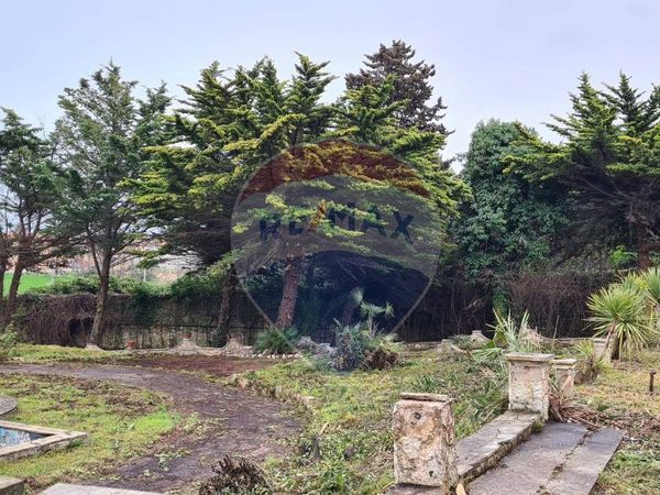 Villa o villino Lido di Fermo, Fermo, FM Vendita - Foto 2