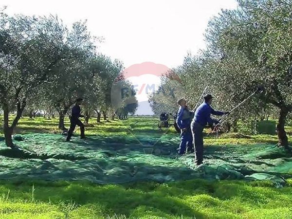 Terreno Marginone, Altopascio, LU Vendita - Foto 2