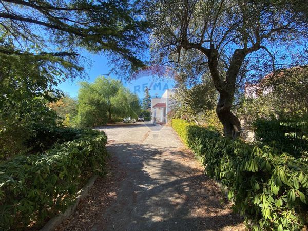 Villa o villino Molfetta, BA Vendita - Foto 4