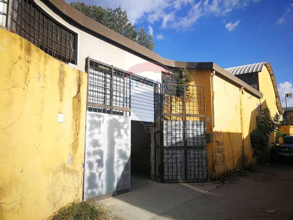 Capannone Industriale Ponte Mammolo, Roma, RM Vendita - Foto 2