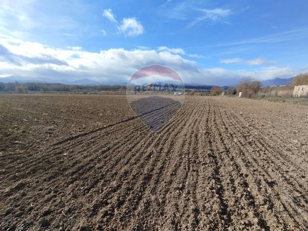 Terreno San Sosti, CS Vendita - Foto 2