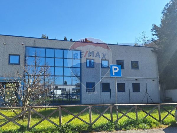 Commerciale Altro Trevi, PG Vendita