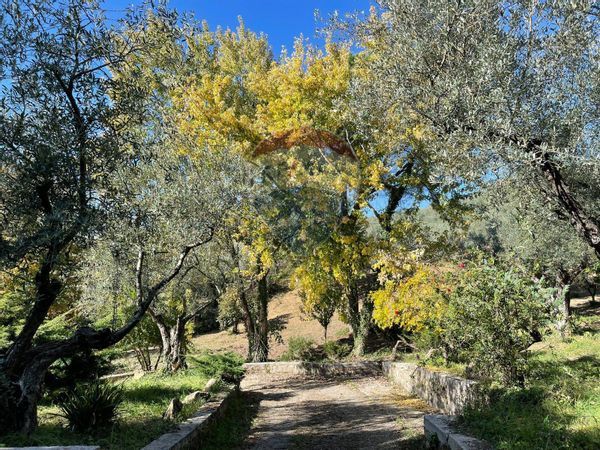 Villa o villino Olevano Romano, RM Vendita - Foto 2