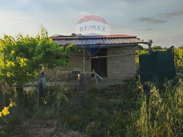 Villa o villino Mineo, CT Vendita - Foto 2