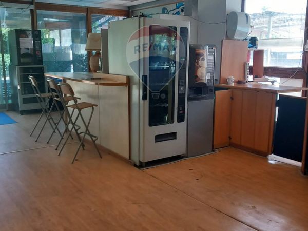 Commerciale Altro Le Rughe, Formello, RM Vendita - Foto 3