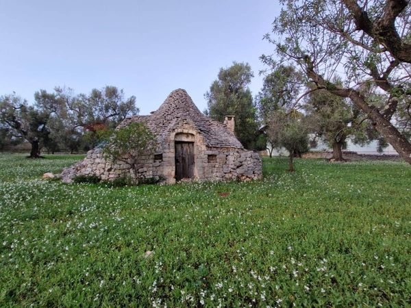 Baita/Chalet/Trullo Ceglie Messapica, BR Vendita