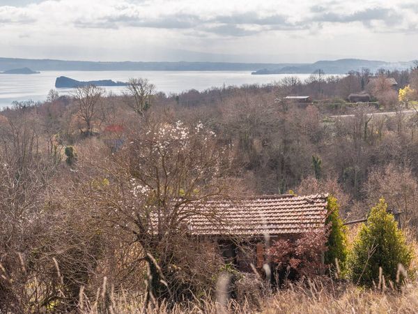 Terreno Gradoli, VT Vendita