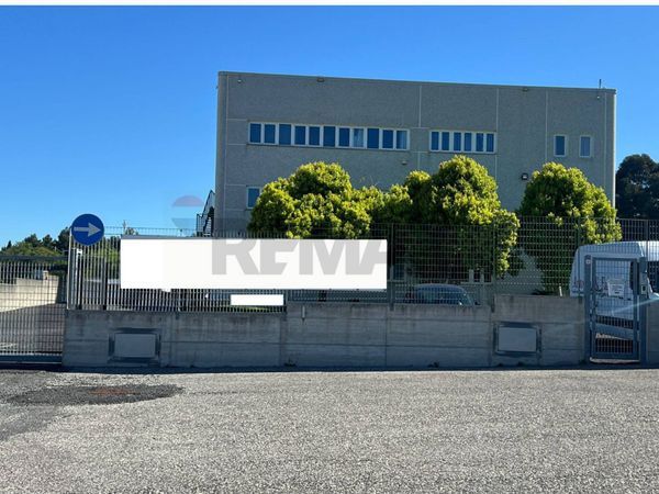 Capannone Industriale Laghetto, Monte Compatri, RM Affitto - Foto 3