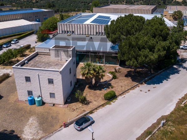 Capannone Industriale Bitonto, BA Vendita