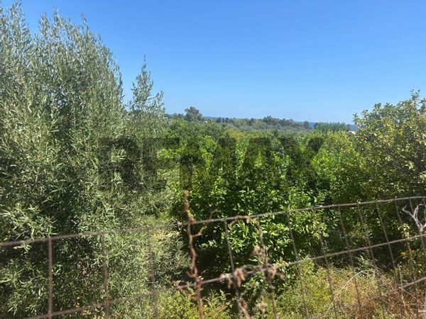 Terreno Bianco, RC Vendita - Foto 3