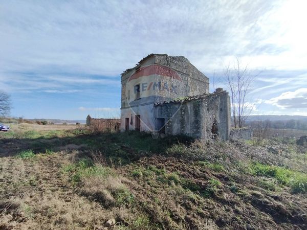 Terreno San Sosti, CS Vendita - Foto 4