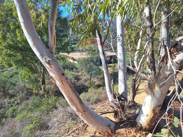 Terreno Capoterra, CA Vendita - Foto 2