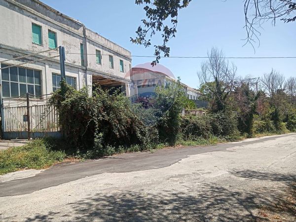 Capannone Industriale Pinocchio, Ancona, AN Vendita - Foto 3