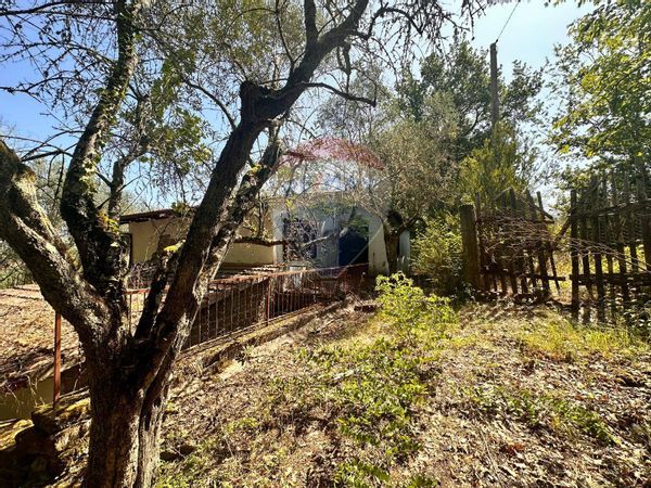 Casa Indipendente Civitella d'Agliano, VT Vendita - Foto 3