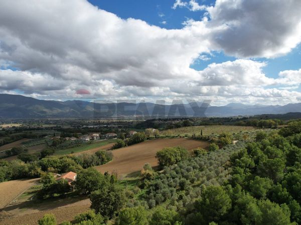 Azienda Agricola Torregrosso, Castel Ritaldi, PG Vendita - Foto 3