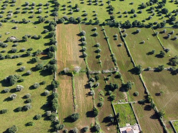 Cascina/Casale Scicli, Scicli, RG Vendita - Foto 4